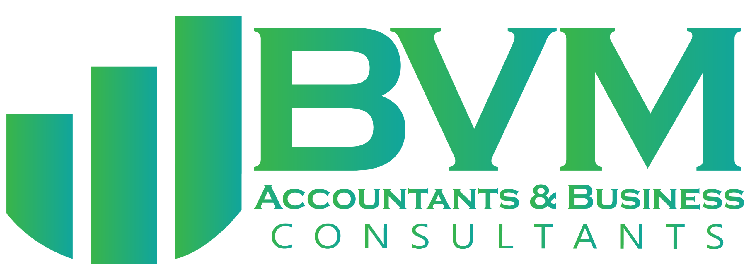 BVM Accountants & Business Consultants